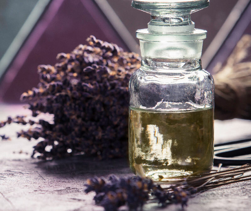 Ayurveda: l’arte della salute secondo la natura